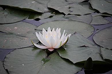 EDF！ 《地球防卫军6》全球销量突破55万